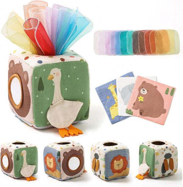 Tissue Box Toy